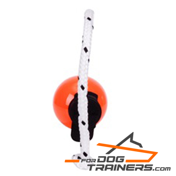 Dog training ball on rope