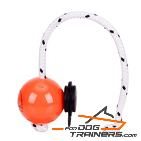 Dog training ball for fun