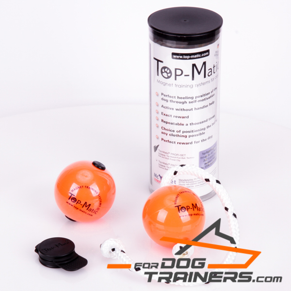 Profi Set magnetic balls for dog training 