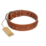 "Guard of Honour " Designer FDT Artisan Tan Leather Mastiff Collar with Small Dotted Pyramids