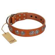 "Woofy Majesty" FDT Artisan Tan Leather Mastiff Collar with Round Silver-like Plates