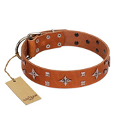 "Tawny Beauty" FDT Artisan Tan Leather Mastiff Collar Adorned with Stars and Tiny Squares
