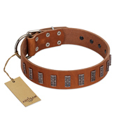 "Silver Century" Fashionable FDT Artisan Tan Leather Mastiff Collar with Silver-Like Plates