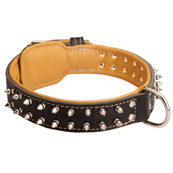 Mastiff Collar Leather Spiked Padded