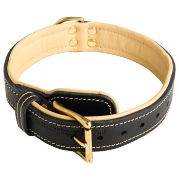 Mastiff Collar Padded Adjustable for Dog Walking, Training