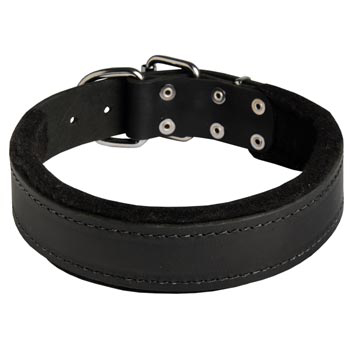 Adjustable Mastiff Collar