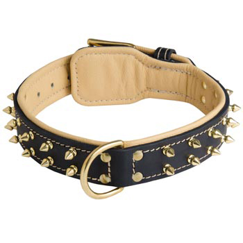 Leather Mastiff Collar Spiked Padded with Nappa Leather Adjustable 