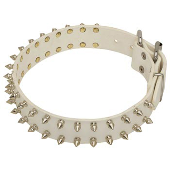 Spiked White Leather Collar for Mastiff Walking