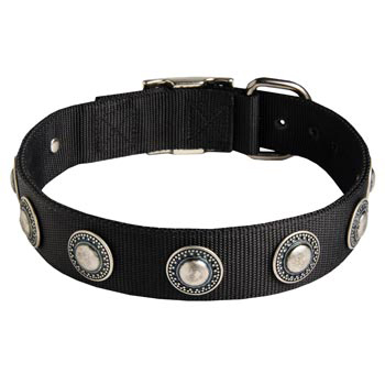 Mastiff Dog Nylon Collar Awesome Design