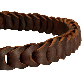 Mastiff Leather Choke Collar Braided 