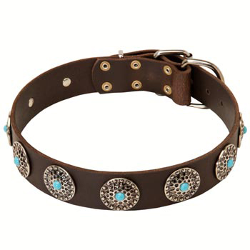 Leather Mastiff Collar