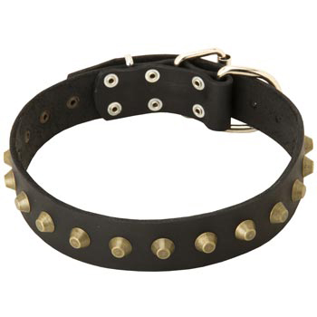 Leather Mastiff Collar