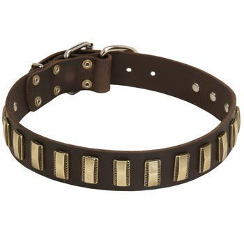 Leather Mastiff Collar Designer for Walking in Style