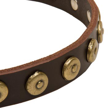 Mastiff Collar with Stylish Circles