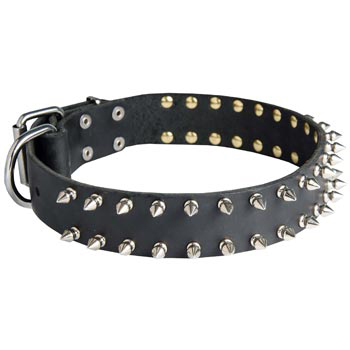 Spiked Leather Collar for Mastiff
