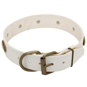 White Leather Dog Collar for Mastiff Stylish Walks