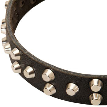 Leather Mastiff Collar Durable Stud Decorated