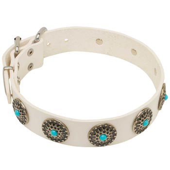 Leather Dog Collar White Exclusive for   Mastiff Walking