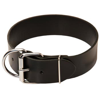 Mastiff Leather Collar of Extra Width