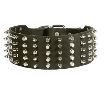 Mastiff Spiked Studded  Leather Collar