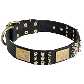 Stylish Wide Leather Dog Collar for Mastiff Walking