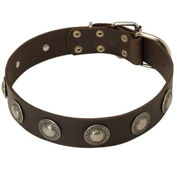 Training Leather   Mastiff Collar for Stylish Dogs