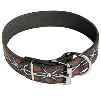 Training Leather Dog Collar with Fancy Painting for Mastiff