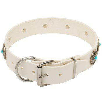 Leather   Mastiff Collar White Fancy for Dog Training, Walking