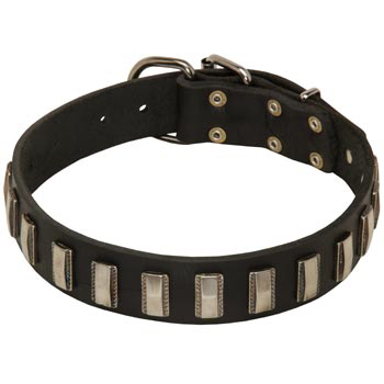 Walking Leather Dog Collar for Mastiff