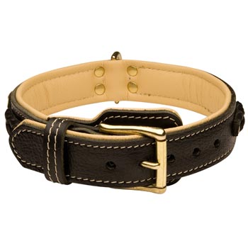 Mastiff Decorated  Leather Dog Collar