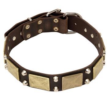 Nickel Studded Leather Mastiff Collar