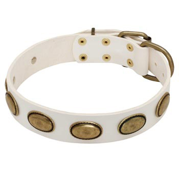 White Leather Mastiff Collar with Vintage Oval Plates