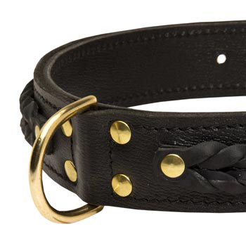 Mastiff Wide Leather Collar with D-ring