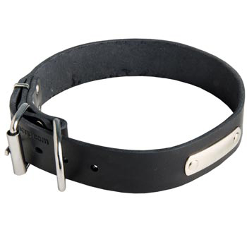 Leather Mastiff Collar for Identification