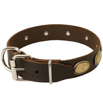 Fashionable Leather Collar for Mastiff