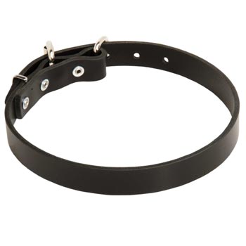 Leather Dog Collar for Mastiff Training