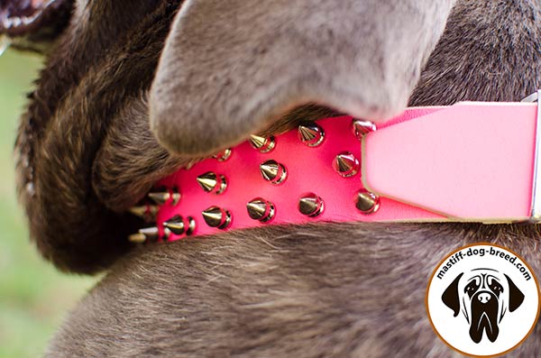 Embellished pink leather Mastino Napoletano collar - close-up