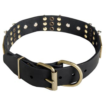 Studded Leather Mastiff Collar for Walking