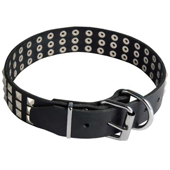 Leather Collar with Pyramids for Mastiff