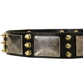 Stylish Leather Dog Collar for Mastiff
