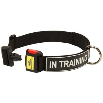 Nylon Dog Collar for Mastiff Police Training