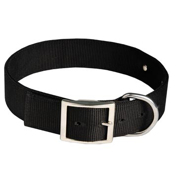 Mastiff Training Collar with ID Tag