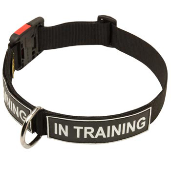 Nylon Mastiff Collar With ID Patches