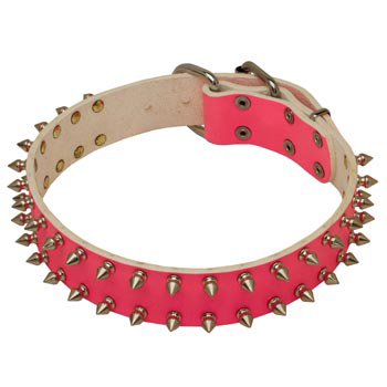 Spiked Pink Leather She-Dog Collar for Mastiff Walking