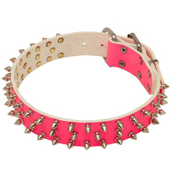 Pink Leather Collar for Mastiff She-Dogs
