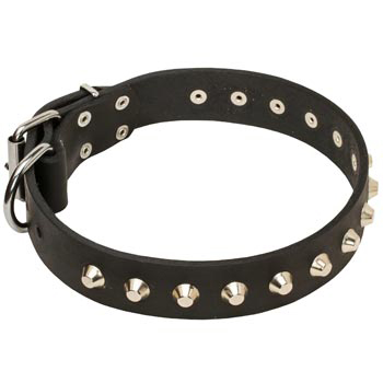 Soft Leather Mastiff Collar with Nickel Studs