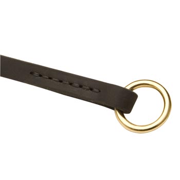  Leather Choke Collar for Mastiff Training
