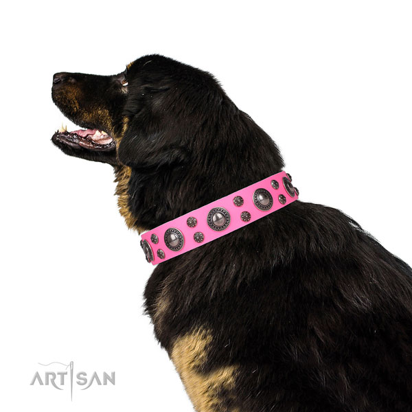 Comfortable wearing adorned dog collar of finest quality genuine leather