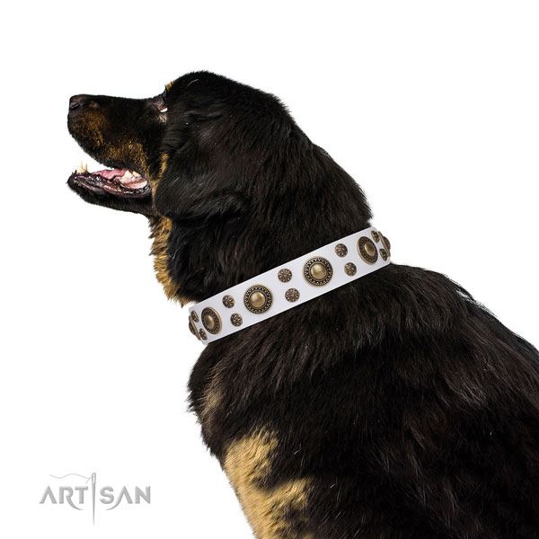 Comfortable wearing decorated dog collar of strong material