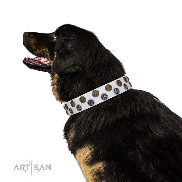 Stylish walking decorated dog collar of durable material